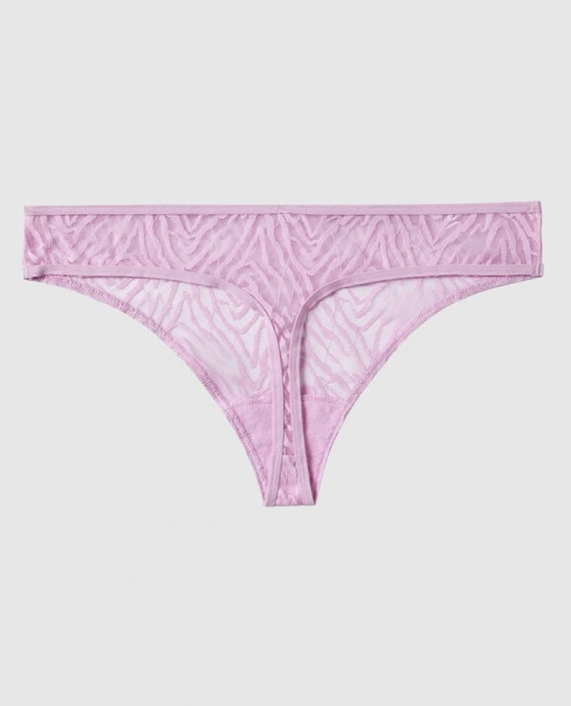 Ropa Interior La Senza Tanga Panty Mujer Moradas | 2zFe9klQ